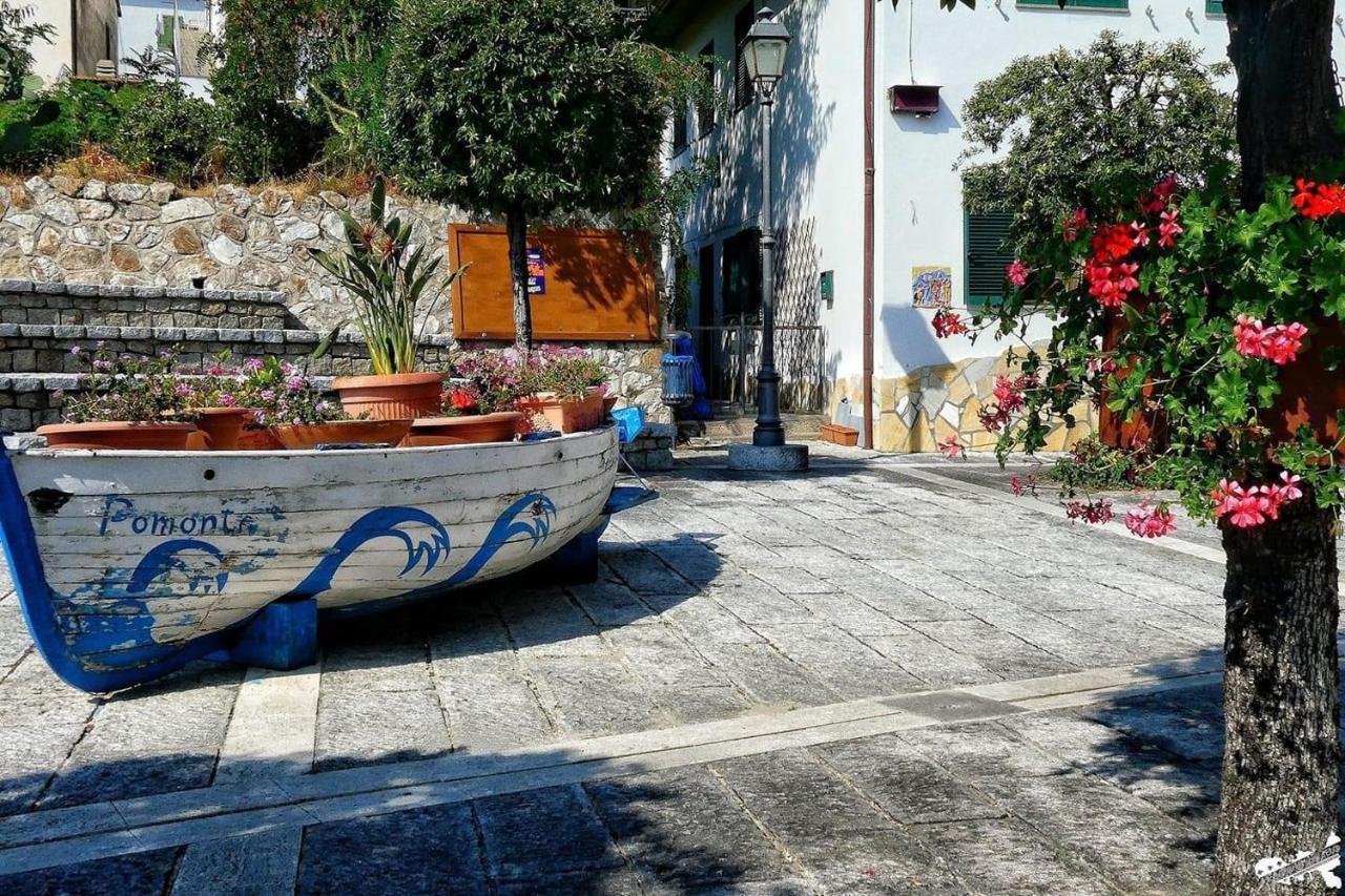 شقة Casa Beppa بومونته المظهر الخارجي الصورة